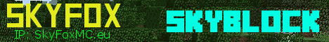 banner for SkyFox server