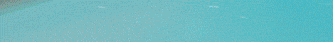 banner for Skyblocky server