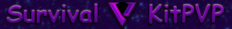 banner for VoidNetwork server