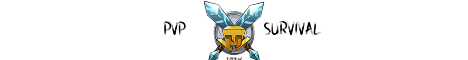 banner for PVP Survival server