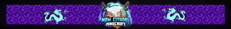 banner for NewCitadelMC server