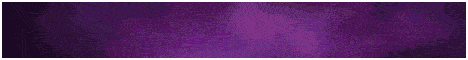 banner for RuinMC server