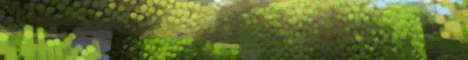 banner for The Gauntlet server