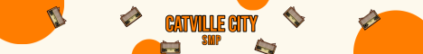 banner for Catville City server