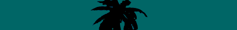 banner for lolcraft server