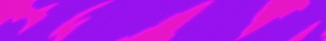 banner for Nepiz Network server