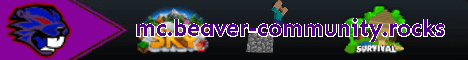 banner for Beaver Community server