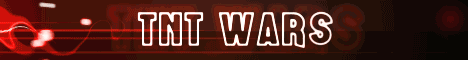 banner for TNTWars server