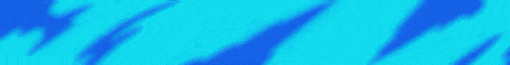 banner for MaliNess Network server