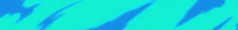 banner for TerrainSmp server