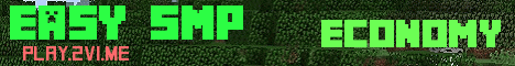 banner for Easy SMP server