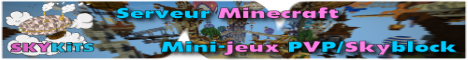 banner for SkyKits server