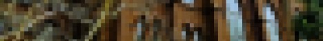 banner for Kyoto server