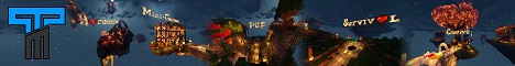 banner for TFM Network server