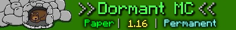 banner for DormantMC server