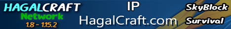 banner for HagalCraft Network server