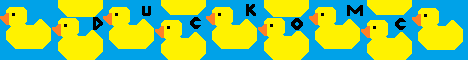 banner for DuckoMC server