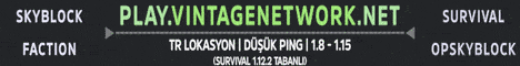 banner for Vintage Network server