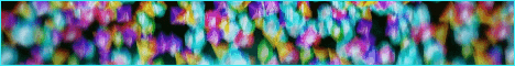 banner for HydenMC server