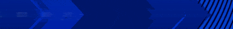 banner for BlueberryMC server