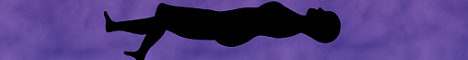 banner for Fizix server