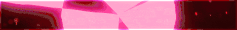 banner for stellersmp server