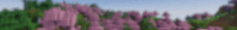 banner for snowcraft server