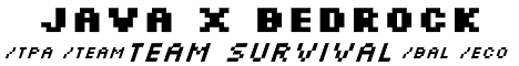 banner for JavaXBedrock server