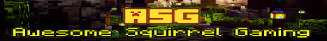 banner for Awesome Squirrel Gaming. server