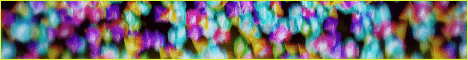 banner for Plexo 95 server