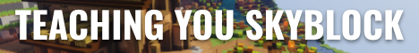 banner for SkyblockGuides server