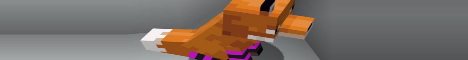 banner for OpenPoint server