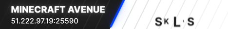 banner for Minecraft Avenue server