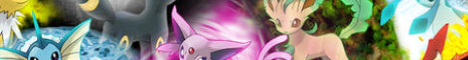 banner for Pixel Society server