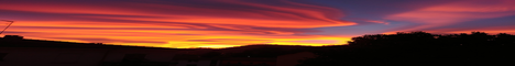 banner for Sunset Survival 24/7 server