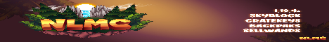 banner for nlmc server