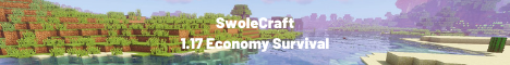 banner for SwoleCraft - Economy Survival server