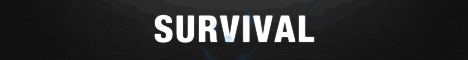 banner for ChoiceCraft server
