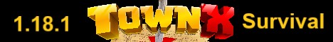 banner for TownX server