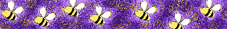 banner for BeeCraft server