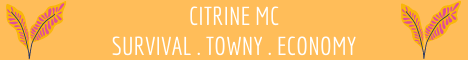 banner for Citrine MC server