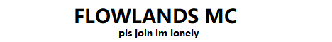 banner for FlowLands server