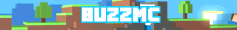 banner for BuzzMC server