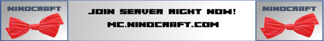 banner for NinoCraft server