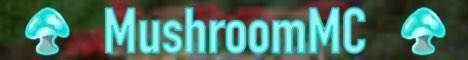banner for MushroomMC server