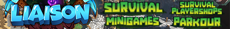 banner for Liaison server