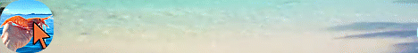 banner for ShrimpClick server