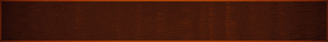 banner for Blazelite server
