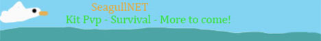 banner for SeagullNET server