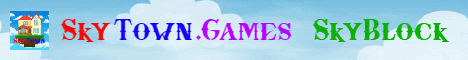 banner for SkyTown server